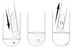 With IVF, the eggs are fertilized in the laboratory, as opposed to GIFT, which simply leaves fertilization up to nature in the fallopian tubes.