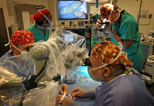 Dr. Sherman Silber “quilts” strips of previously frozen ovarian tissue together before he grafts them onto the existing ovary inside Jenny Remington-Hobbs at St. Luke’s Hospital in Chesterfield on Oct. 12, 2012.