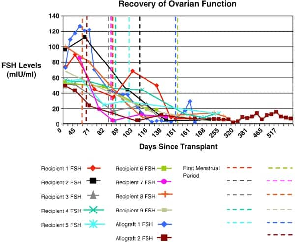 Figure 4: Recovery of ovarian function. The eight fresh transplant cases showed a dramatic decline in day 3 serum FSH by 80–140 days post-operatively corresponding approximately to the resumption of menses. The results of the microvascular whole-ovary transplant. And the cortical tissue allotransplant are not significantly different from cortical iso grafts.