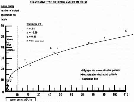 Figure 2 This graph shows the predictable relationship between sperm count and the number of mature (i.e., Sc and Sd, or simply the number of dark oval dots) spermatids per tubule. When there is obstruction, the sperm count is severely and dramatically lower than what this graph would predict.