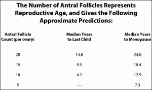 follicle_count_age