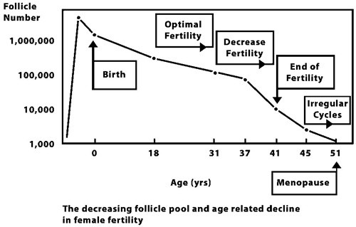 follicle_pool