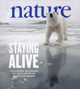 Preserving polar bear ovaries and sperm to protect against their eventual extinction. 