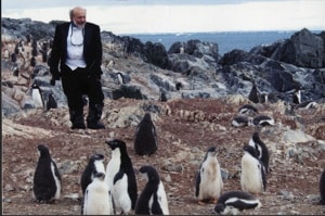 Among the penguins: Silber blends in with the locals in Antarctica.