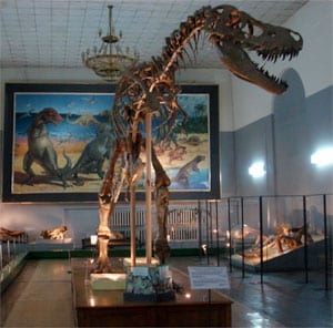 Figure 4. A complete predator dinosaur found intact in Gobi Desert in Mongolia. 