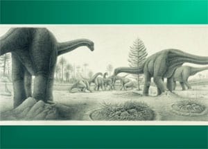 Figure 5. Dinosaurs laid their eggs in nests similar to crocodilians where temperature variation was the rule.