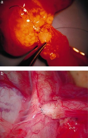 fig6