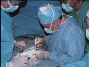 Ovary Transplant In Top 10 ABC s Medical News The Infertility Center 
