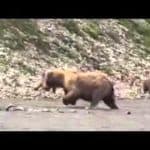 Building a Home in the Wilderness of Alaska