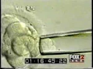 Fox 2 Health Watch: In-Vitro Fertilization News