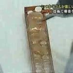 Frozen Ovarian Tissue (Narration in Japanese)