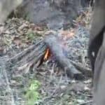 An Encounter with the Hadzi Bushmen