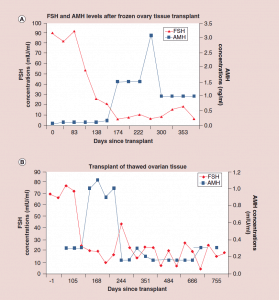 Figure 5 - Womens Health