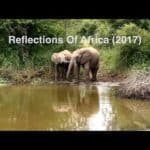 Reflections of Africa