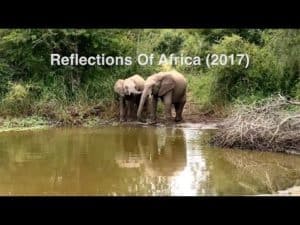 Reflections of Africa