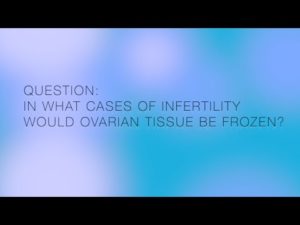 Infertility Center of St Louis | Dr  Silber Q&A | frozen ovarian tissue