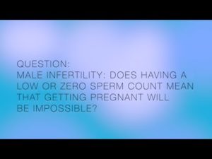 Male Infertility - Does a low or zero sperm count mean getting pregnant is impossible?