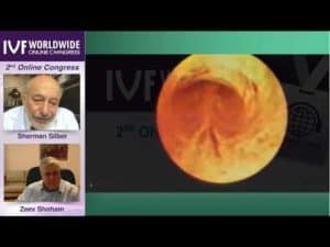 Dr. Silber: IVF WorldWide Journey of the sperm