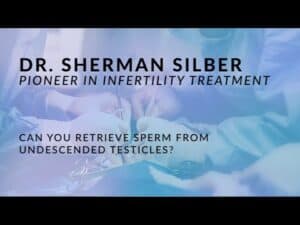 Can sperm be retrieved from undescended testicles