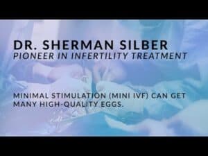 Dr  Silber - Notes on Mini IVF: high quality eggs