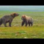 Dr. Silber in Alaska 2022