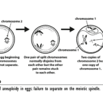 figure 13-3