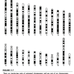 figure 13-3