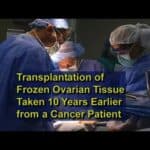 Ovarian Tissue Transplant After Cancer: 20-Year-Old Eggs Restored