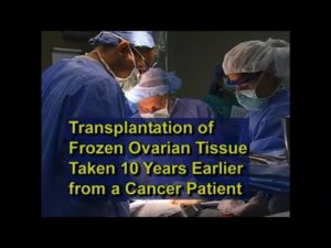 Ovarian Tissue Transplant After Cancer: 20-Year-Old Eggs Restored
